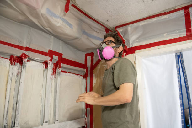 Reliable Frostburg, MD Mold Inspection, Removal & Remediation Solutions